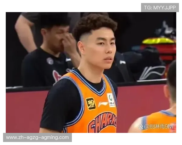 广厦队作为CBA四强球队之一的战绩分析