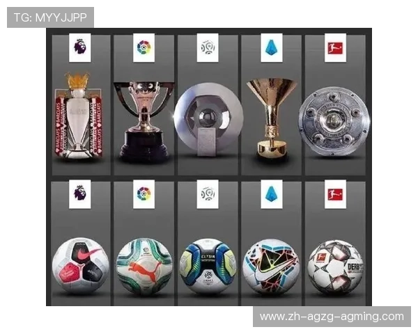 德甲小球队夺冠：德甲历史上小球队如何实现夺冠梦想