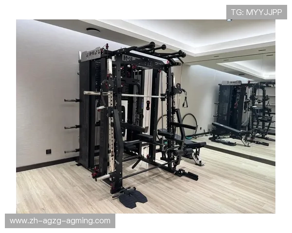 腰部训练健身器材类型盘点，体育康复辅助工具分析